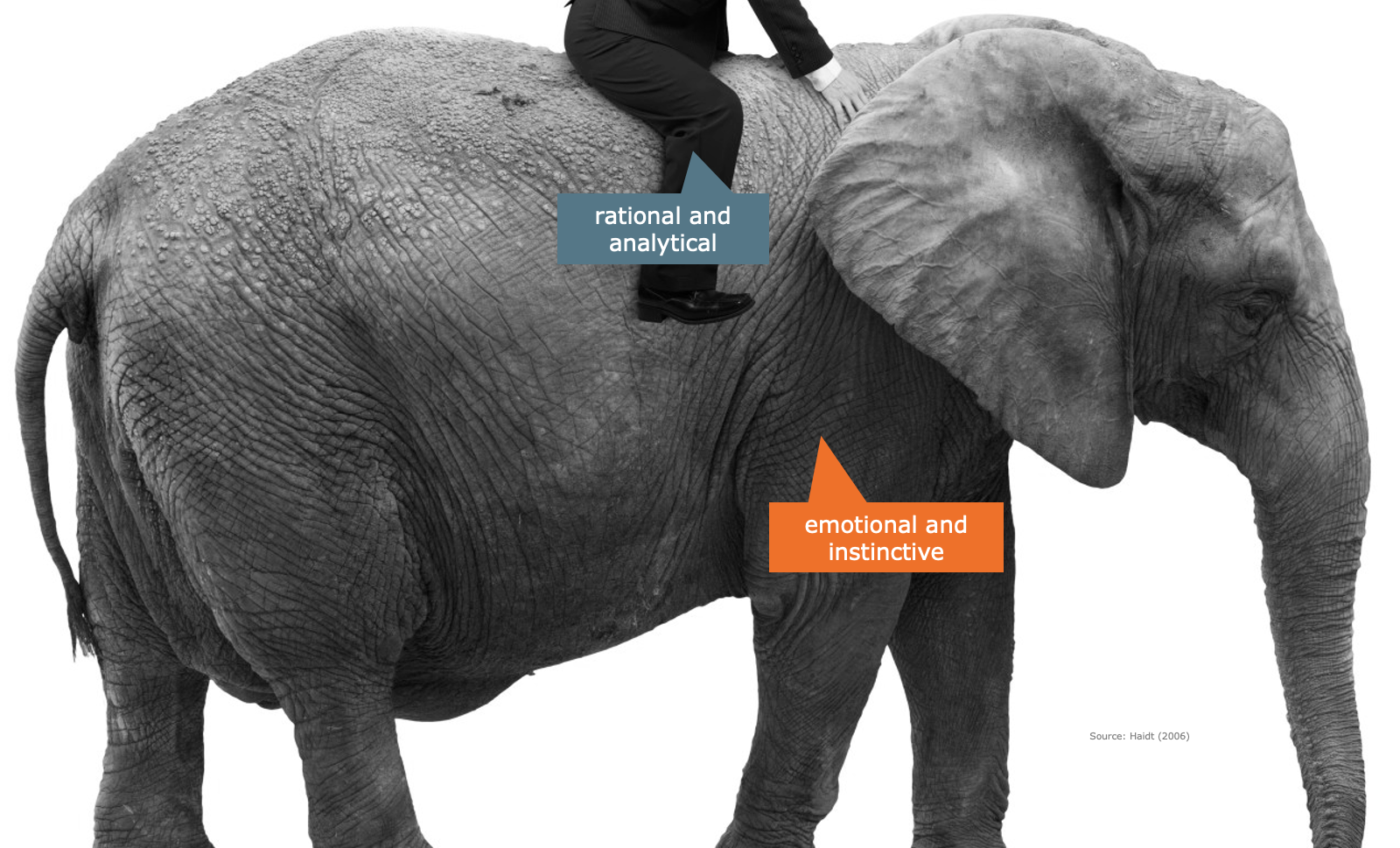 The Elephant and Rider metaphor