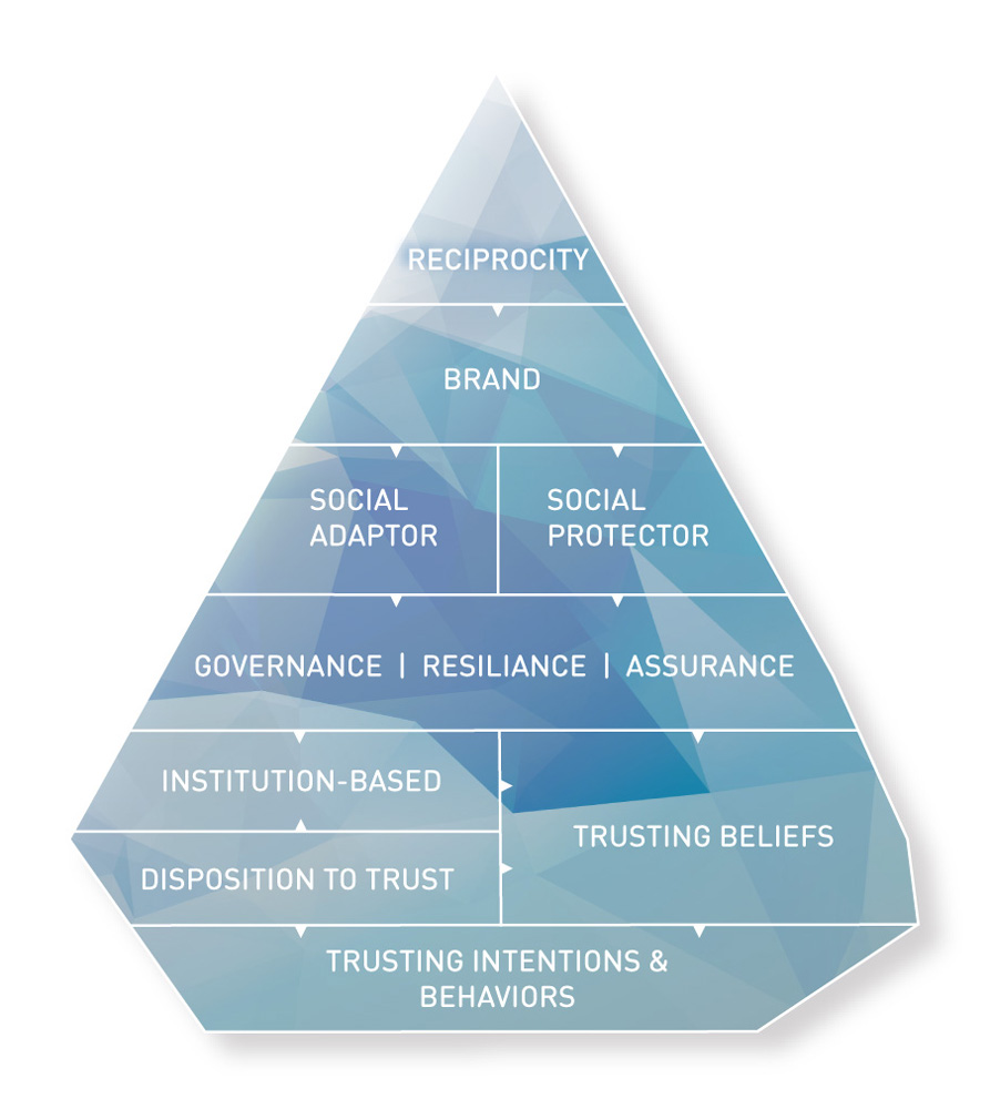 Multi-Level Digital Trust Framework